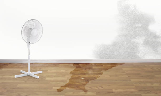 Best Wood Floor Water Damage Restoration in Tubac, AZ